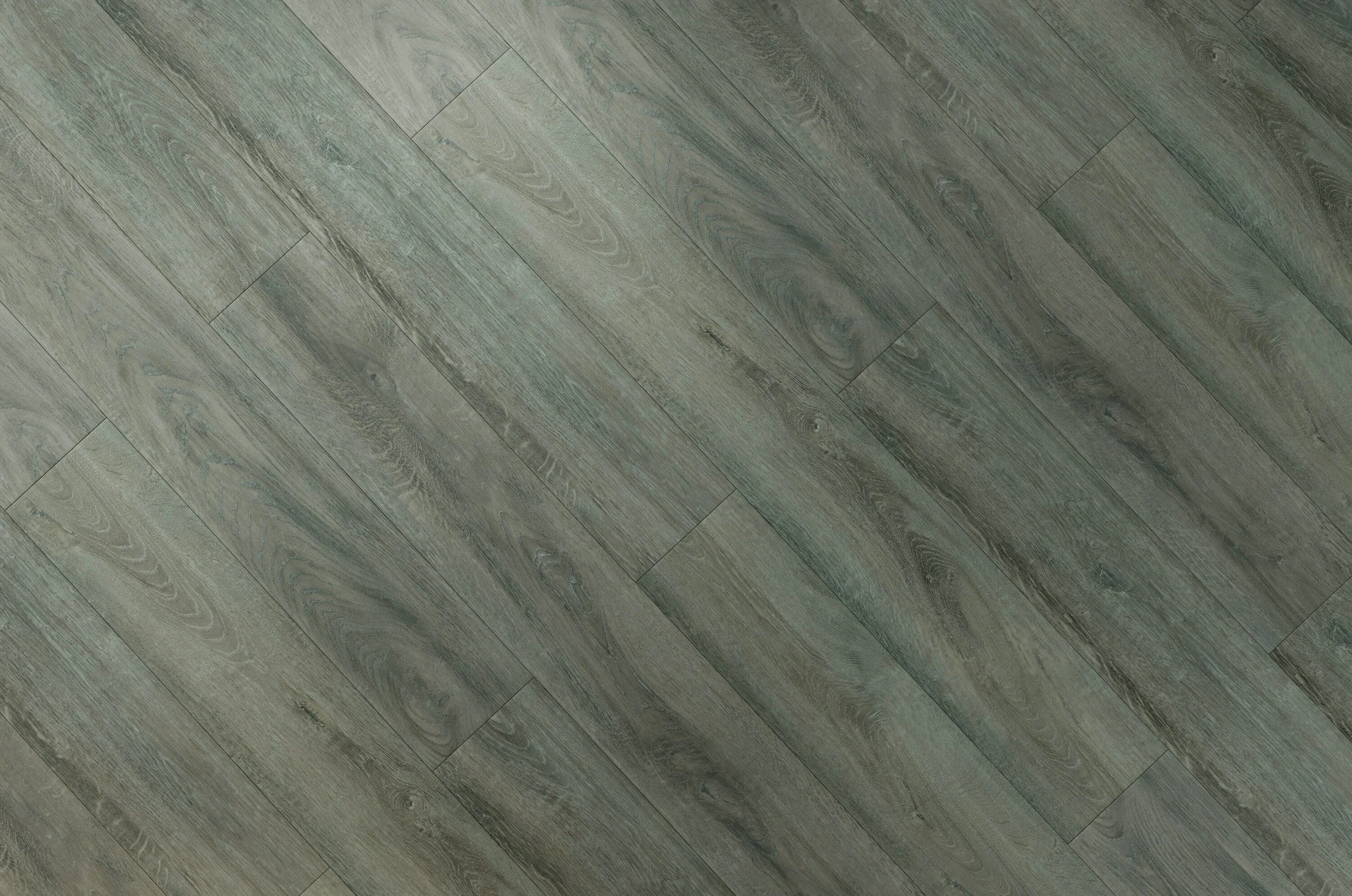 EBP004