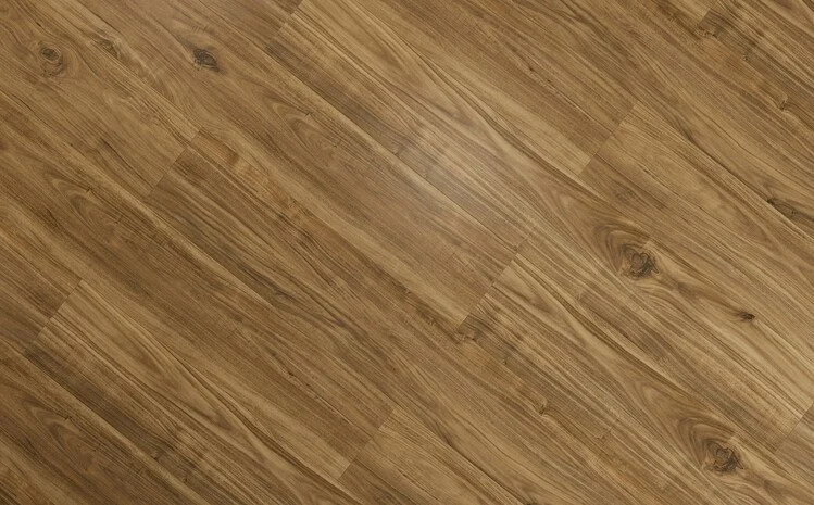 EBP018